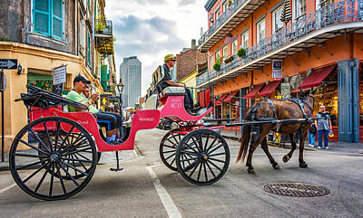 Bear Photography Rights Managed Images - New Orleans - Carriage Ride 2 Royalty-Free Image by Steve Harrington