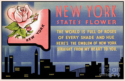 Roses Drawings - New York state flower vintage greetings from by Heidi De Leeuw