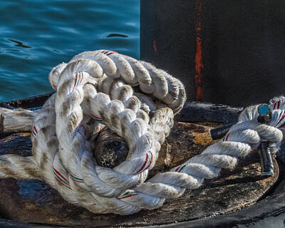 Target Threshold Nature - Ship Rope by Patti Deters