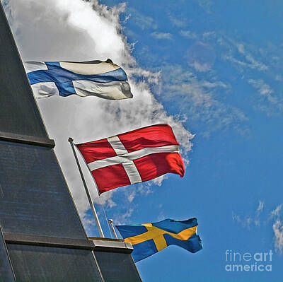 Purely Purple - Nordic flags STOK002 by Howard Stapleton