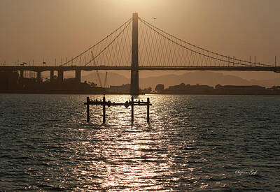 Animals And Earth - Oakland Bay Bridge II by Suzanne Gaff