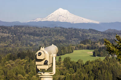 Lady Bug Rights Managed Images - Observe MT Hood Royalty-Free Image by John McGraw