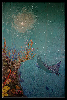 Wildlife Cabin Royalty Free Images - Ocean Mosaic Royalty-Free Image by Teresa Wilson