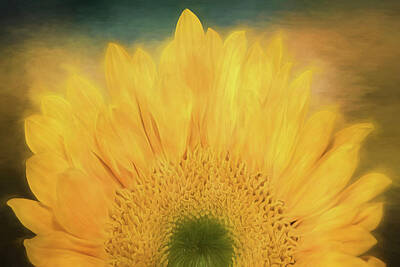 Sunflowers Mixed Media Royalty Free Images - Oh Happy Day  Royalty-Free Image by Teresa Wilson