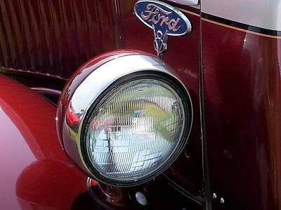 Sultry Plants Rights Managed Images - Old Ford Truck Headlight Royalty-Free Image by Shelly Dixon