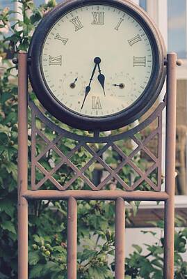 Colorful Button - Old Garden Clock by The Art Of Marilyn Ridoutt-Greene