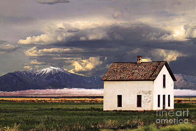 Game Of Thrones Rights Managed Images - Old House at the Great Sand Dunes Royalty-Free Image by Catherine Sherman
