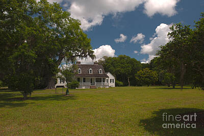 Light Abstractions - Old Plantation by Dale Powell