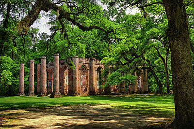 Anchor Down Royalty Free Images - Old Sheldon Church Ruins Royalty-Free Image by Priscilla Burgers