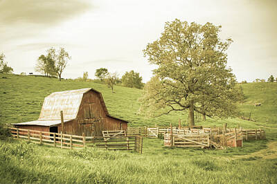Royalty-Free and Rights-Managed Images - Old Time Country - Aged Vintage by Gregory Ballos