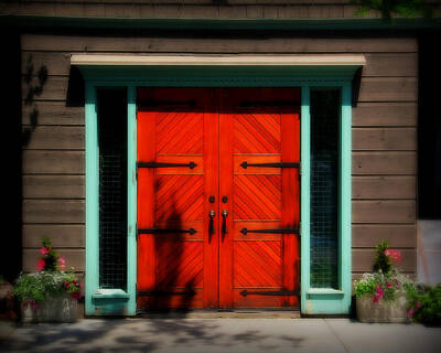 Colorful Abstract Animals - Old Wooden Doors by Perry Webster