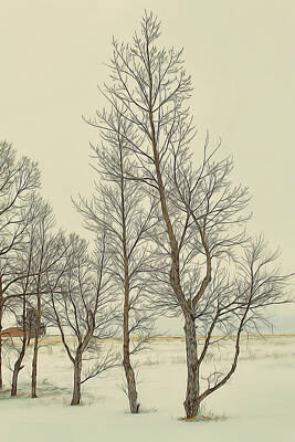 Abstract Landscape Royalty Free Images - On a Winters Day Royalty-Free Image by Alana Thrower