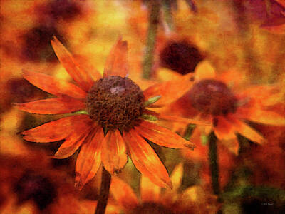 Impressionism Photo Royalty Free Images - Orange Varies 3803 IDP_2 Royalty-Free Image by Steven Ward