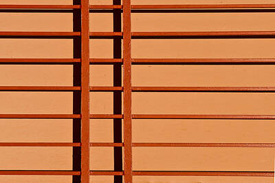 Mother And Child Paintings - Orange wall and latisse work architectural  detail by Gary Warnimont