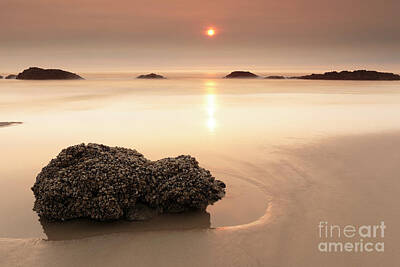 Beach Photo Rights Managed Images - Orange World Royalty-Free Image by Masako Metz