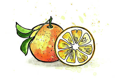 Food And Beverage Paintings - Watercolor Oranges by Masha Batkova