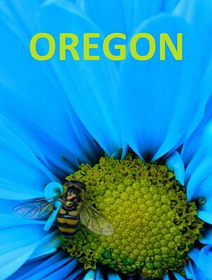 Vintage Neon Signs - Oregon Bee by Gallery Of Hope 