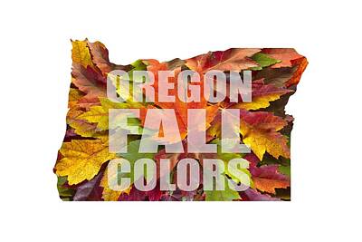 Vintage Posters Theatre Propaganda And Advertisements - Oregon Maple Leaves Mixed Fall Colors Text by David Gn