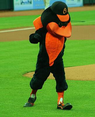 Baseball Royalty-Free and Rights-Managed Images - Orioles Mascot by Christopher James