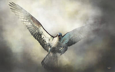 Birds Digital Art - Osprey by Daniel Eskridge