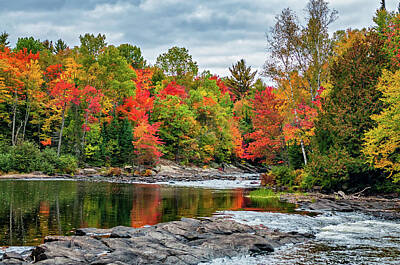 Have A Cupcake - Oxtongue River by Steve Harrington
