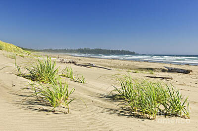Beach Royalty-Free and Rights-Managed Images - Pacific ocean shore on Vancouver Island by Elena Elisseeva