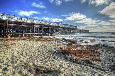 Landscape Royalty-Free and Rights-Managed Images - Painted Crystal Pier  by Kelly Wade