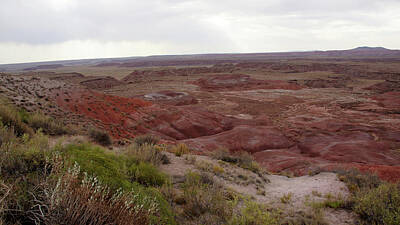 Purely Purple - Painted Desert 3 by Florine Duffield