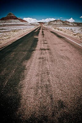 David Bowie - Painted Desert Road #4 by Robert J Caputo