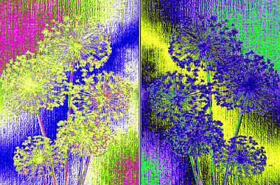 Digital Art Rights Managed Images - Paired Allium Abstract Royalty-Free Image by Will Borden