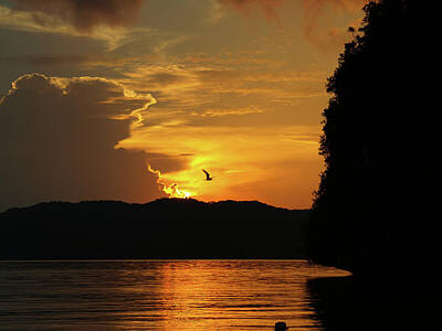 Lighthouse - Palau Sunset by Shauna Milton