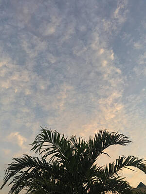 Travel Luggage - Palm Sunset by Patrick Byrnes