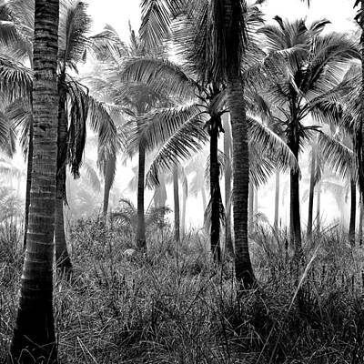 Vintage Car Photography - Palm Trees - Black and White by Marianna Mills