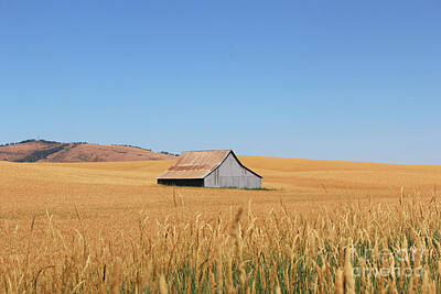 Discover Inventions - Palouse Barn 3626 by Jack Schultz
