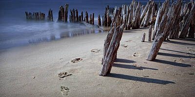 Lipstick - Panorama Photograph of Footprints along the Beach on Lake Michigan by Randall Nyhof