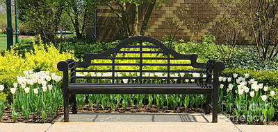 Seascapes Larry Marshall - Park Bench and Tulips  4374 by Jack Schultz