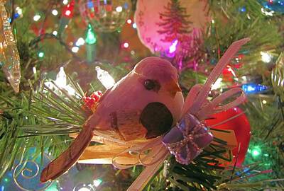 Animals Photos - Partridge In A Christmas Tree  by Jennifer Wheatley Wolf