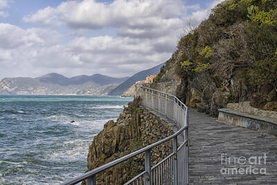 Circuits - Path in CinqueTerre by Patricia Hofmeester