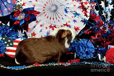 Edward Hopper - Patriotic American Guinea Pig by Anthony Totah