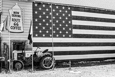 Animal Portraits - Patriotic Route 66 by Anthony Sacco
