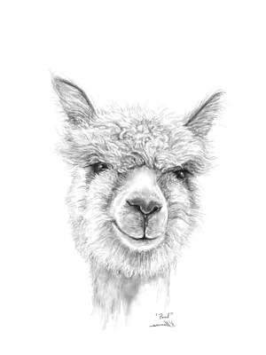 Recently Sold - Mammals Drawings - Paul by Kristin Llamas