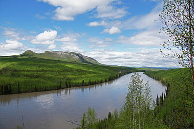 Robert Braley Royalty-Free and Rights-Managed Images - Peace River by Robert Braley