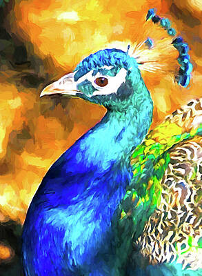Thomas Kinkade - Peacock by Dennis Cox Photo Explorer
