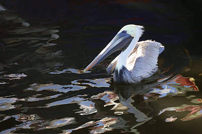 Misty Fog - Pelican II Oil Painting by Jody Lovejoy