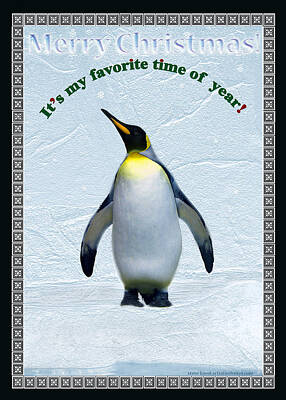 Digital Art - Penguin Christmas by Steve Karol
