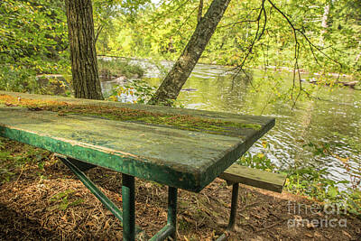 Nikki Vig Royalty-Free and Rights-Managed Images - Perfect Spot for a Picnic by Nikki Vig