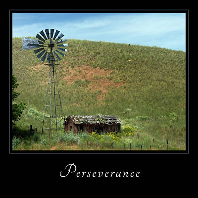University Icons - Perserverance 2 by Mary Jo Allen