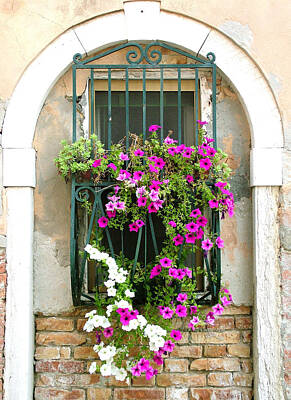 Donna Corless Royalty-Free and Rights-Managed Images - Petunias Through Wrought Iron by Donna Corless