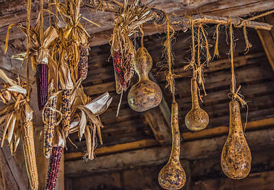 Motorcycle Patents - Philipsburg Manor - Gourds and Flint Corn by Black Brook Photography