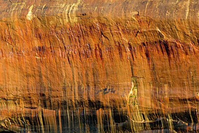 Vintage Books - Pictured Rocks Abstract - 2 by Tom Clark